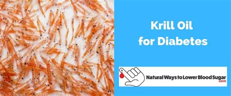 krill oil and diabetes.